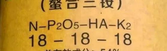@߀ڝq