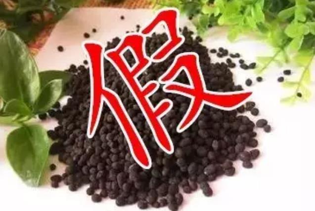 wʡǡ١