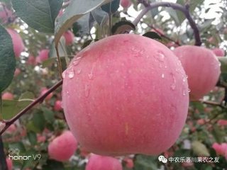 O׷PIחlʡrʡС