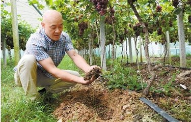 @ʩЙC̎ڶ