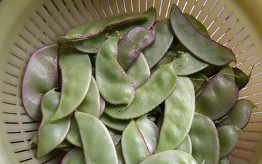 ⶹʩʼg