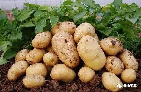 NֲҪעʲôԓôʩ