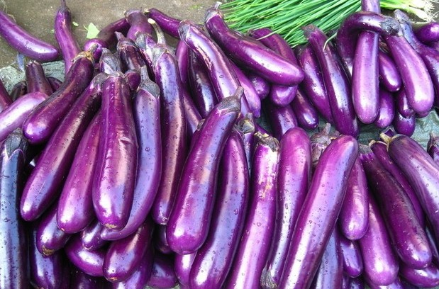 ȱȱصİYFʲôʩa
