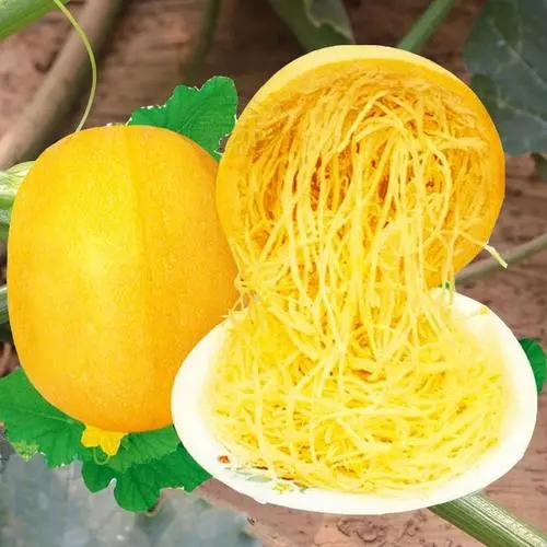 zôNֲNֲʲô