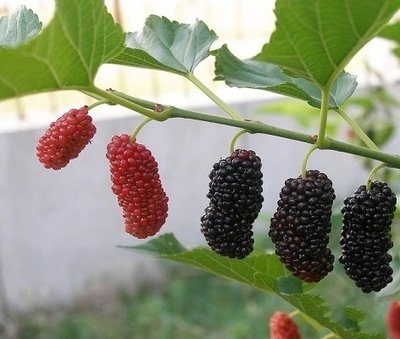 ɣЩƷNɣطNֲҪעʲô