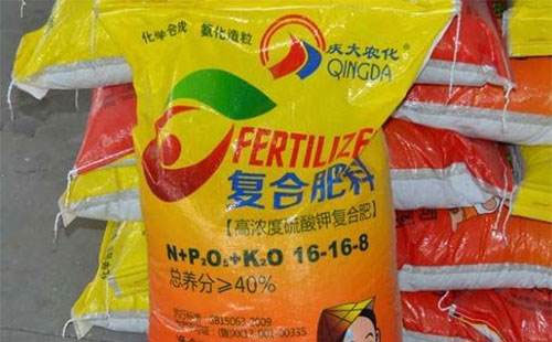 ͺϷʱFȻͦ鲨