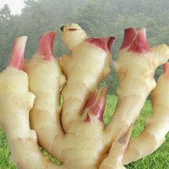 ΢׌Gɫa