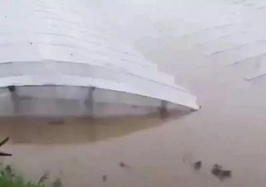 _L^Ӱ푃ɴʷN