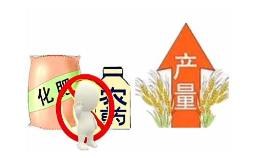һСûrˎFƌW
