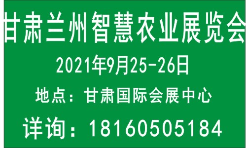  2021CmݣǻrIչ[