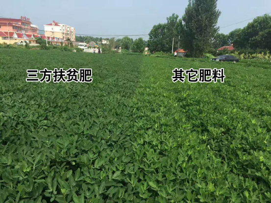 2017ؚʝ悻L610.png