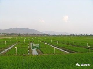 컯_lrIЈ