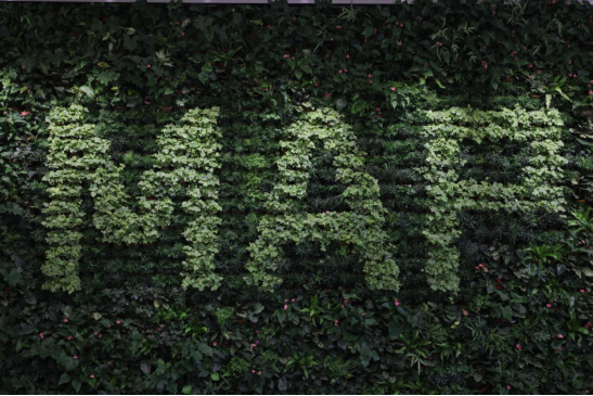 ޸--ذ лrIRаlʽ  ЇrIӭƼr455.png