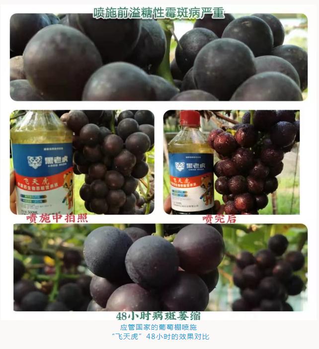 360؈D20190801135405754.jpg