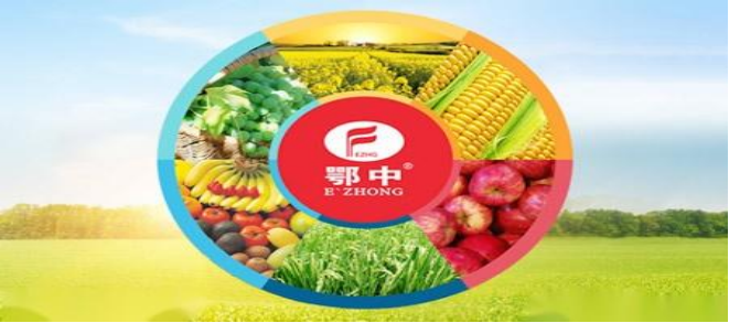 B20230815壩1114.png